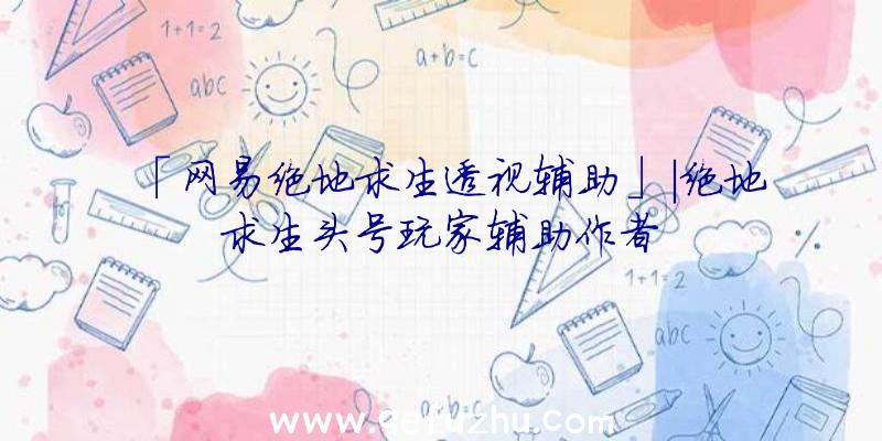 「网易绝地求生透视辅助」|绝地求生头号玩家辅助作者